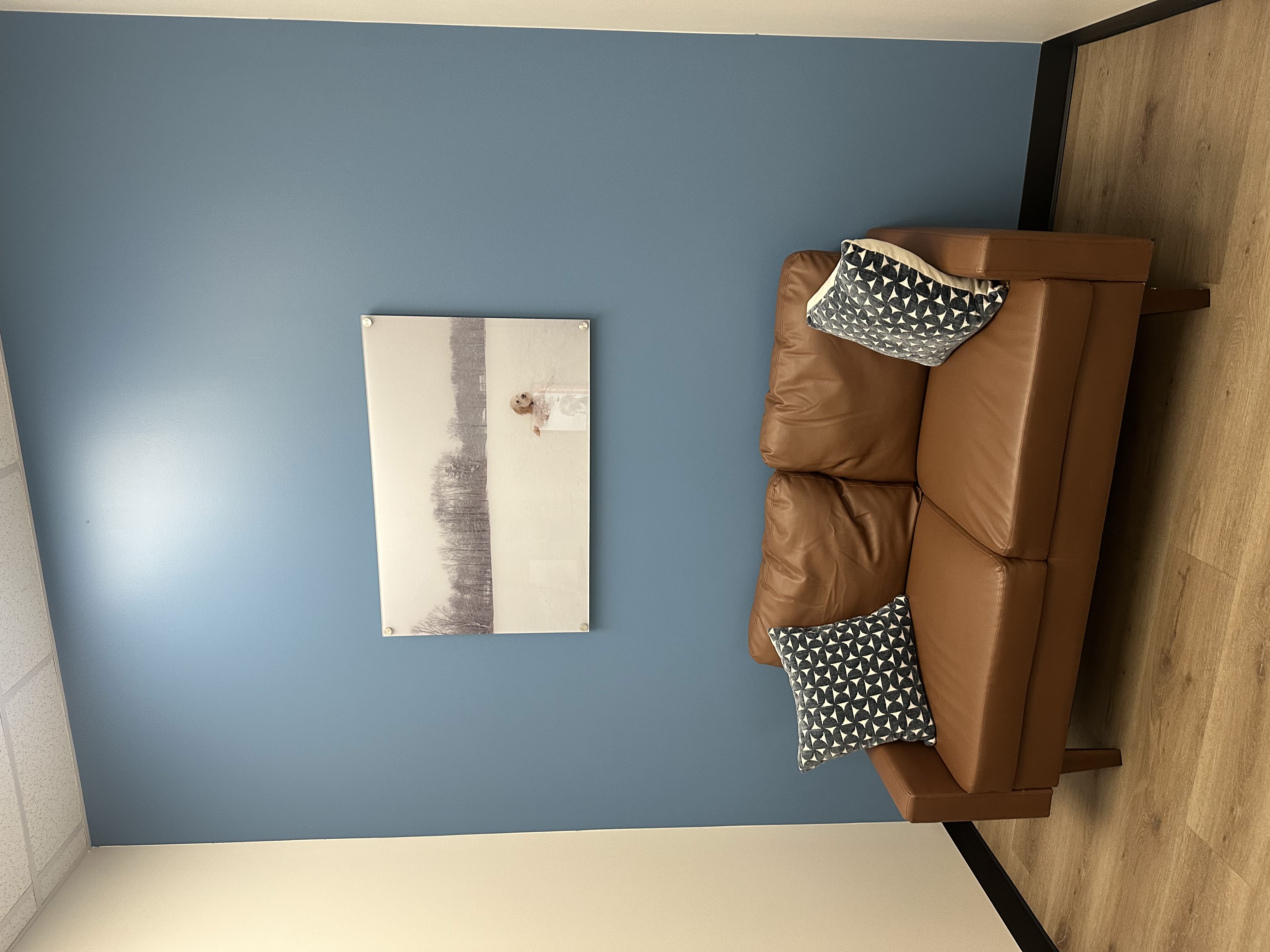 CityVet | Northlake exam room