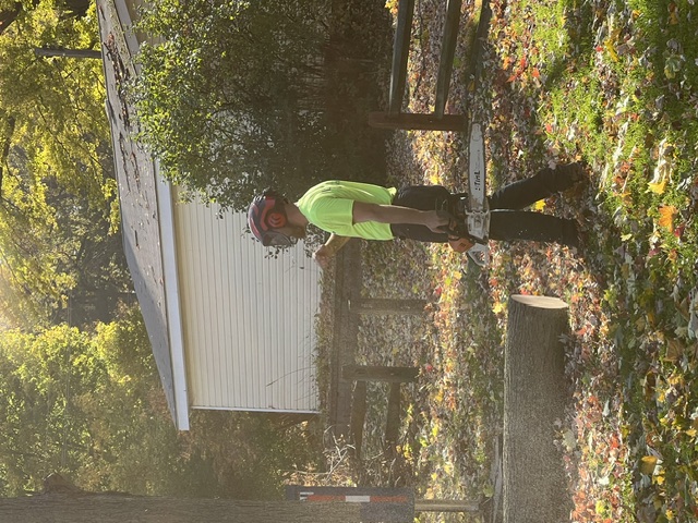 Lucca Landscaping & Construction LLC offers reliable tree cutting services to help manage overgrown, hazardous, or unwanted trees on your property. We handle each job with safety and precision, making sure your landscape remains clean and secure. Our team is experienced in working with trees of all sizes and types, ensuring efficient service with professional results. We’re committed to keeping your outdoor space well-maintained and safe.