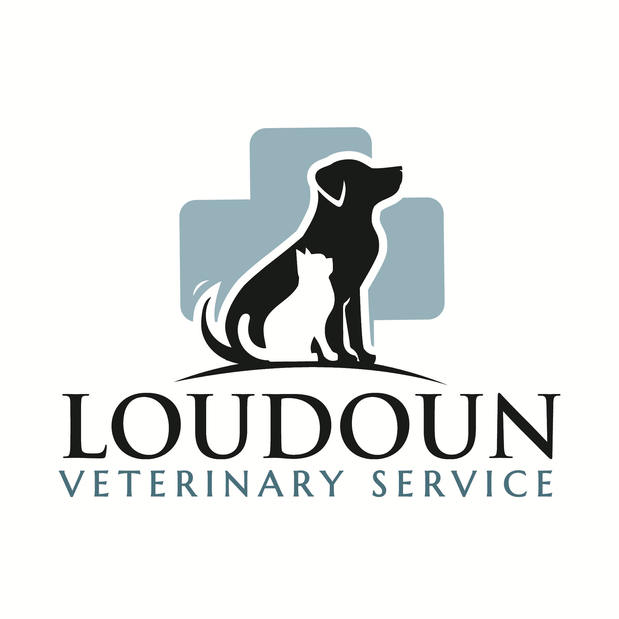 Loudoun Veterinary Service, Inc Logo