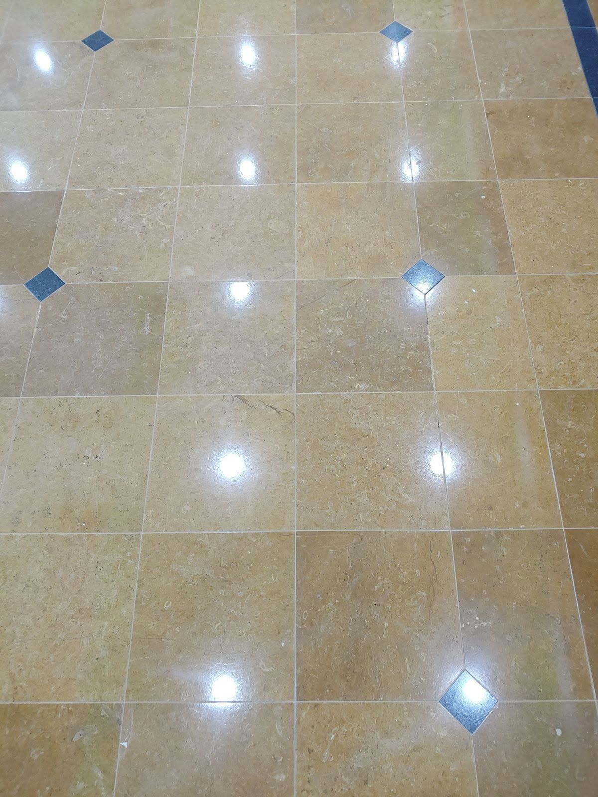 Total finish floors Image