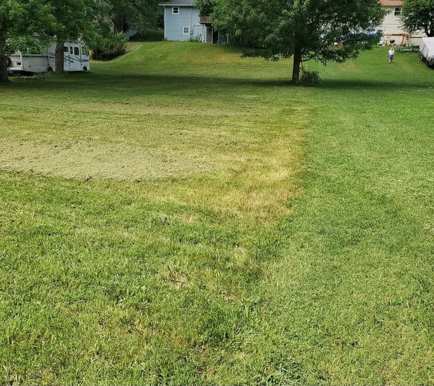 Images Cooks Lawn Care Service