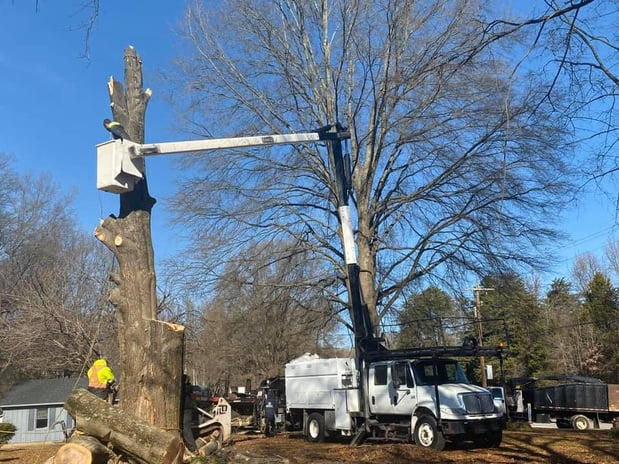 Images God's Way Tree Service