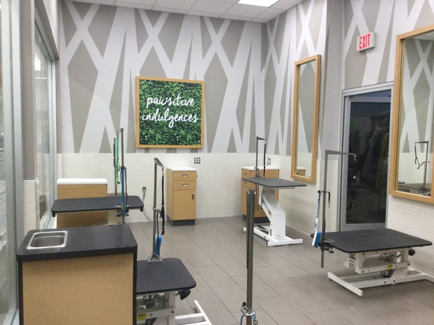 Images Petco Grooming