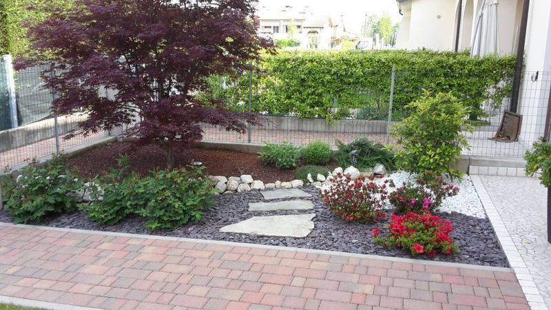 Images Idea Verde di Pettenuzzo Stefano