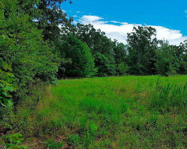 Images Southwest Ranch & Farm Sales