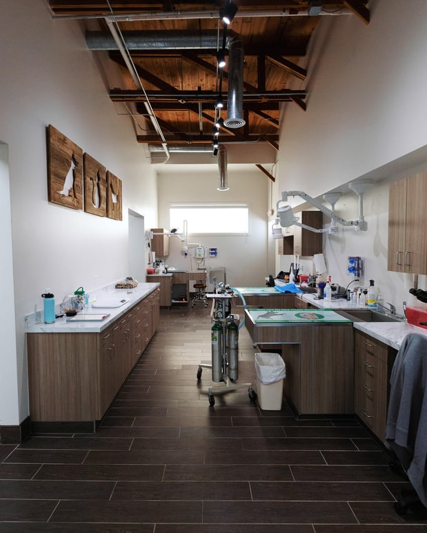 Images Solomon Veterinary Clinic