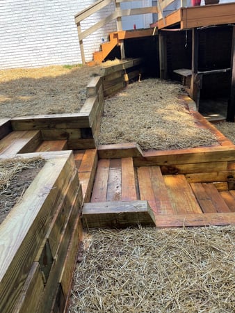 Images Lopez Tree Services and Landscaping