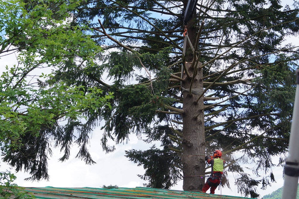 Baumwerk e.U., Hötzelsdorf 10 in Vorchdorf