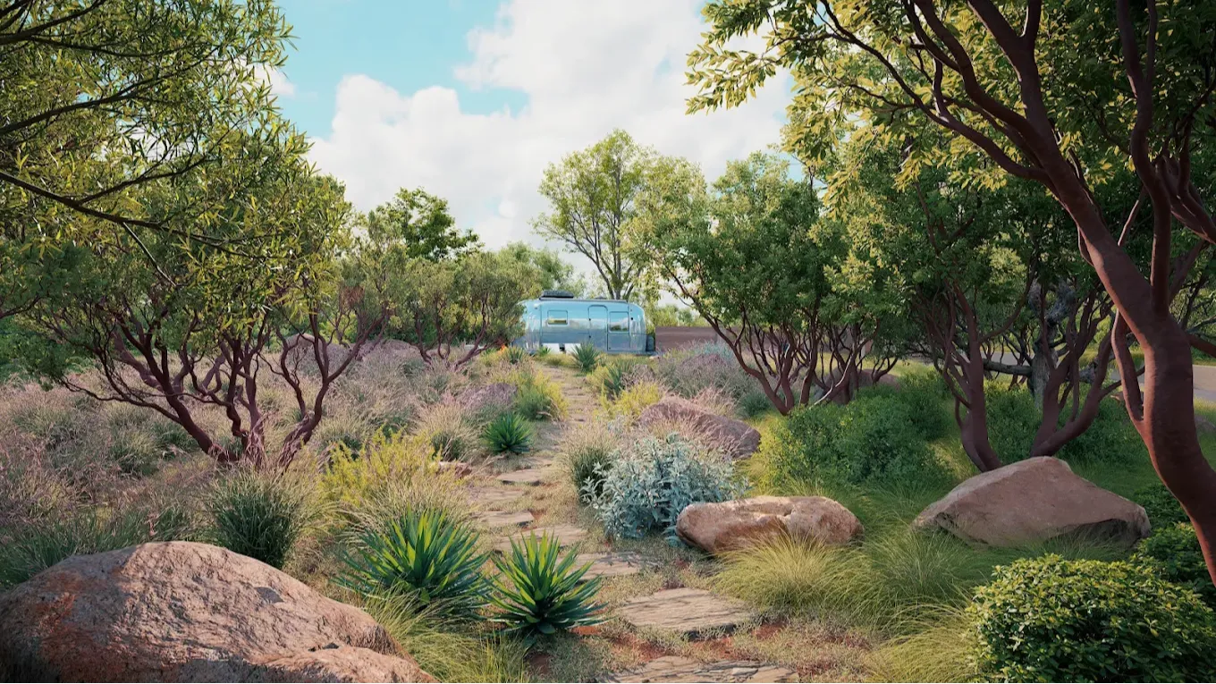 Desert Landscape