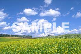 Images 株式会社ロビンソン大阪支店