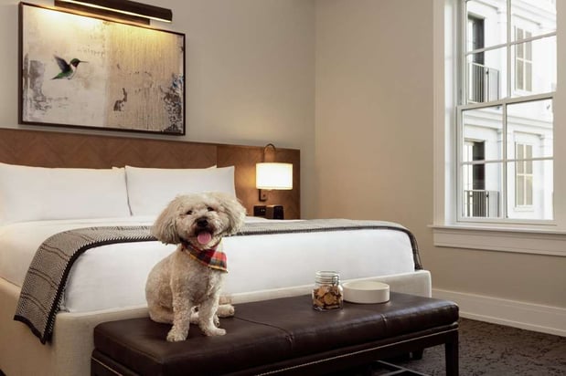 Images The Harpeth Franklin Downtown, Curio Collection by Hilton