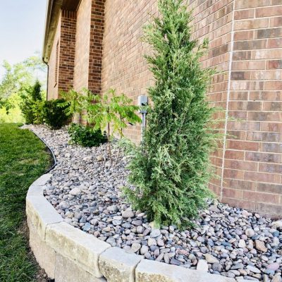 Create our outdoor oasis with our landscapers!