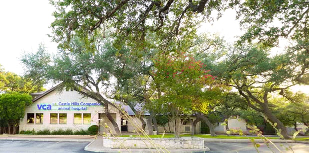 Images VCA Castle Hills Companion Animal Hospital