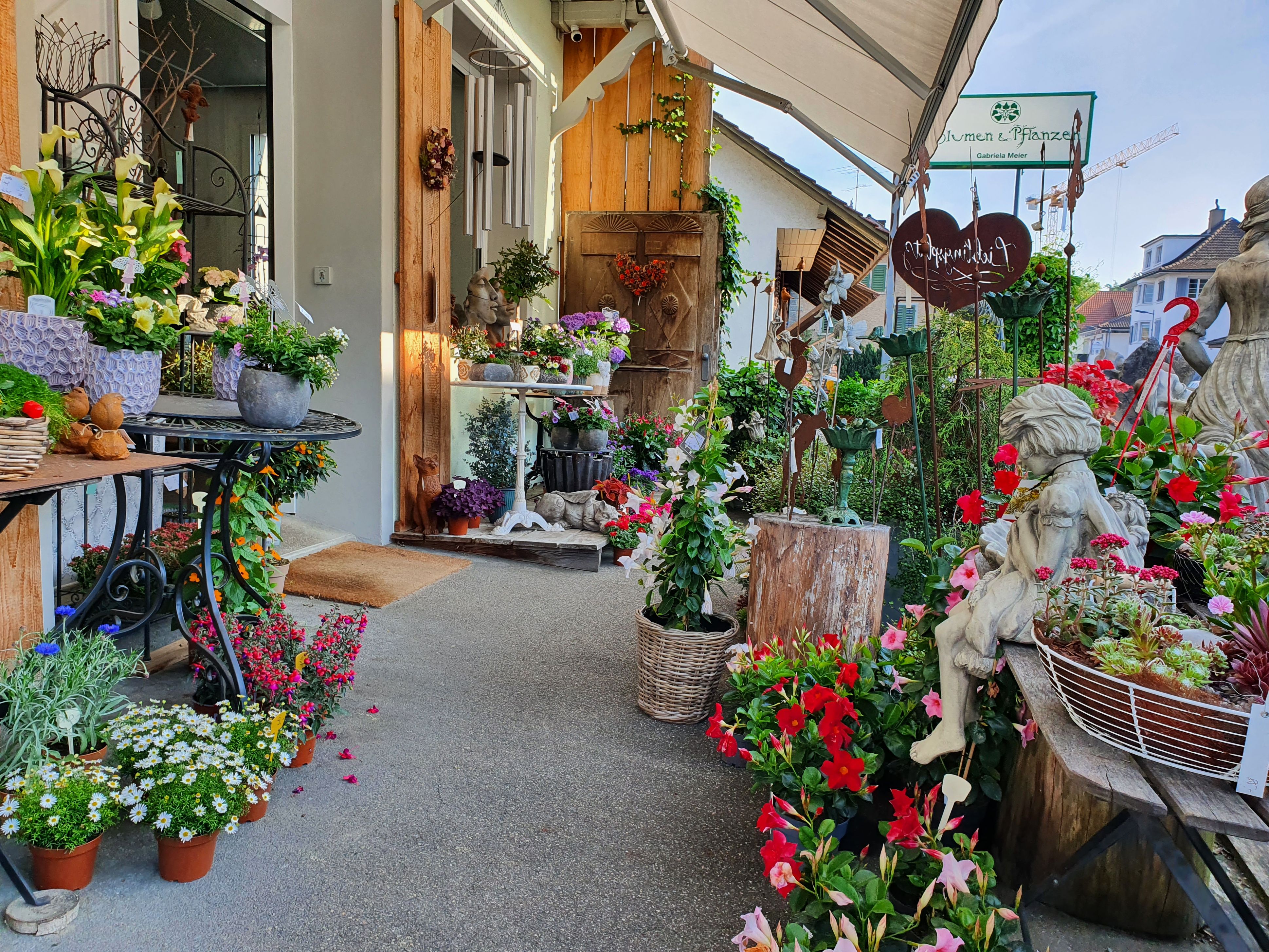 Bilder Blumen und Pflanzen