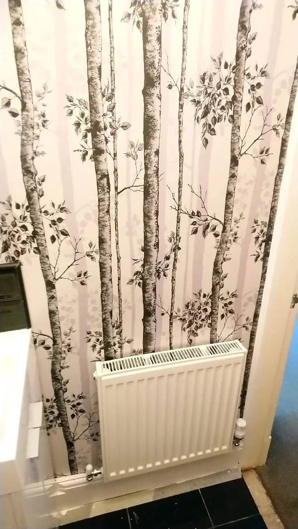Images Simon Scrimshaw Painting & Decorating