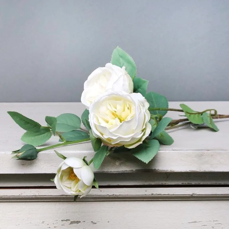 Images Village Green Wholesale Ltd