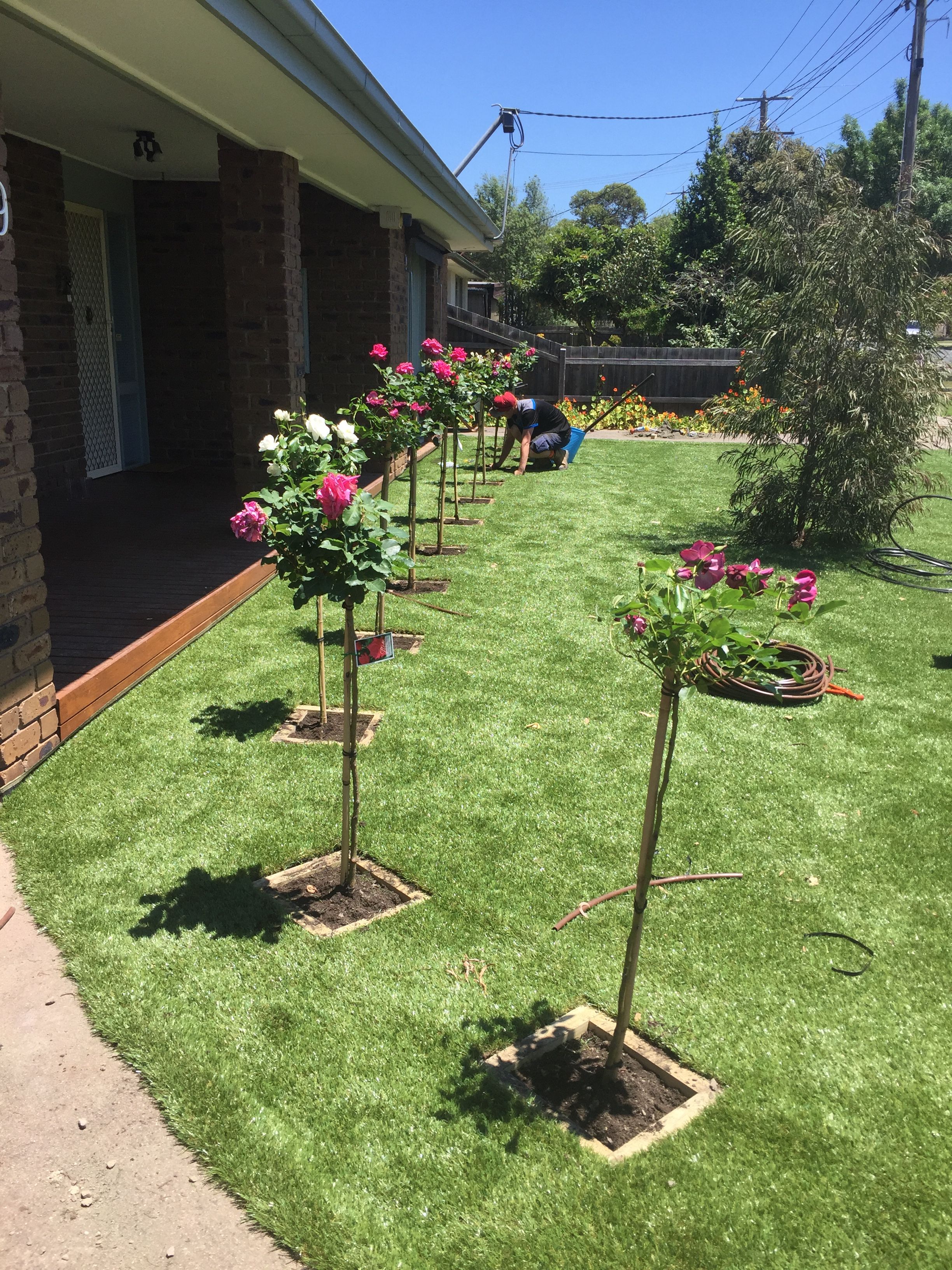 Images CDM Earthmoving & Landscaping