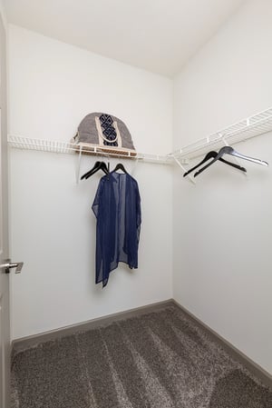 Images Arch + Vine