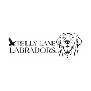 Reilly Lane Labradors
