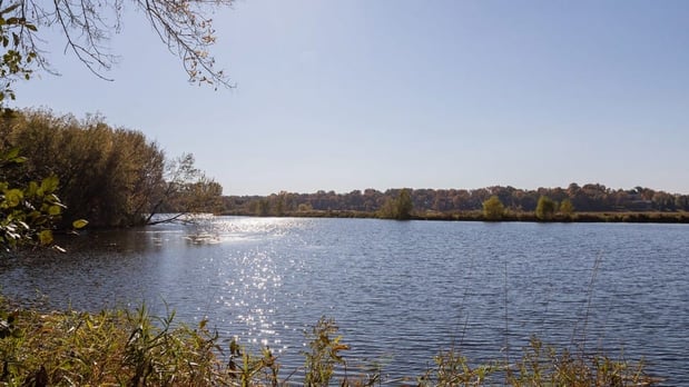 Images ReNew at Neill Lake