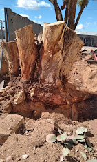 Valley Of The Sun Landscape Image