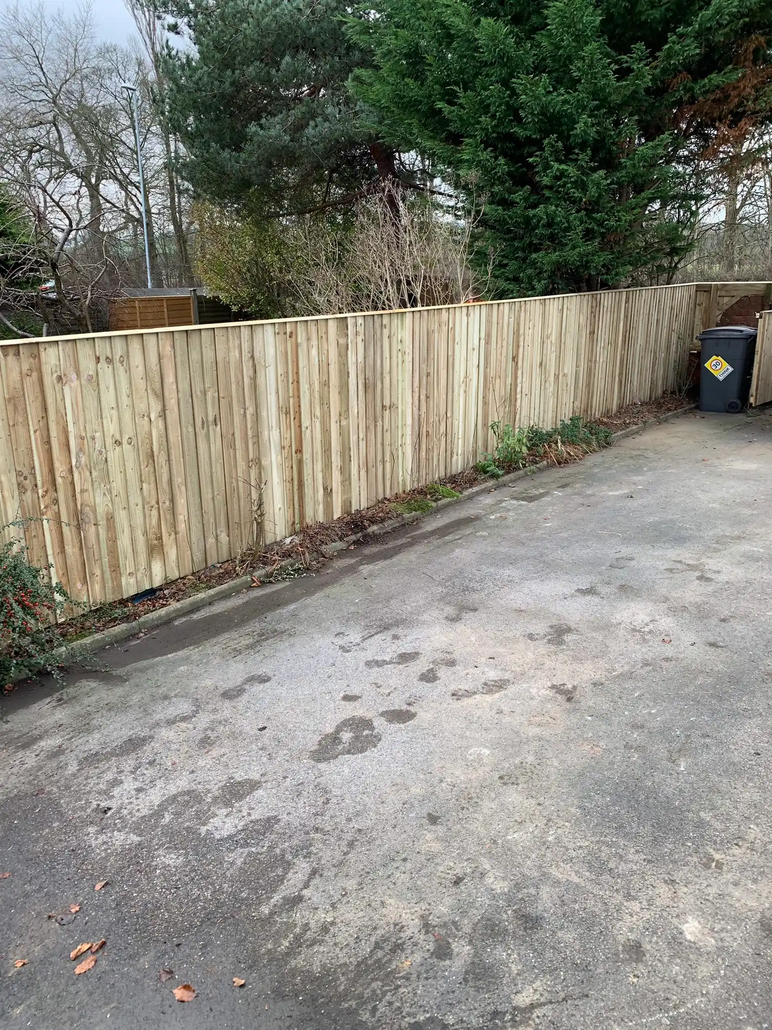 Images D & E Landscapes