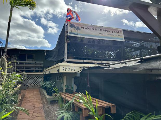 Images Back Yards Aqua Farm LLC