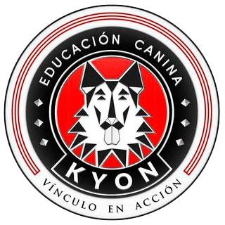 Mundo Kyon Logo