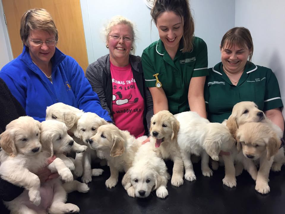Images Abbey Veterinary Group, Paisley