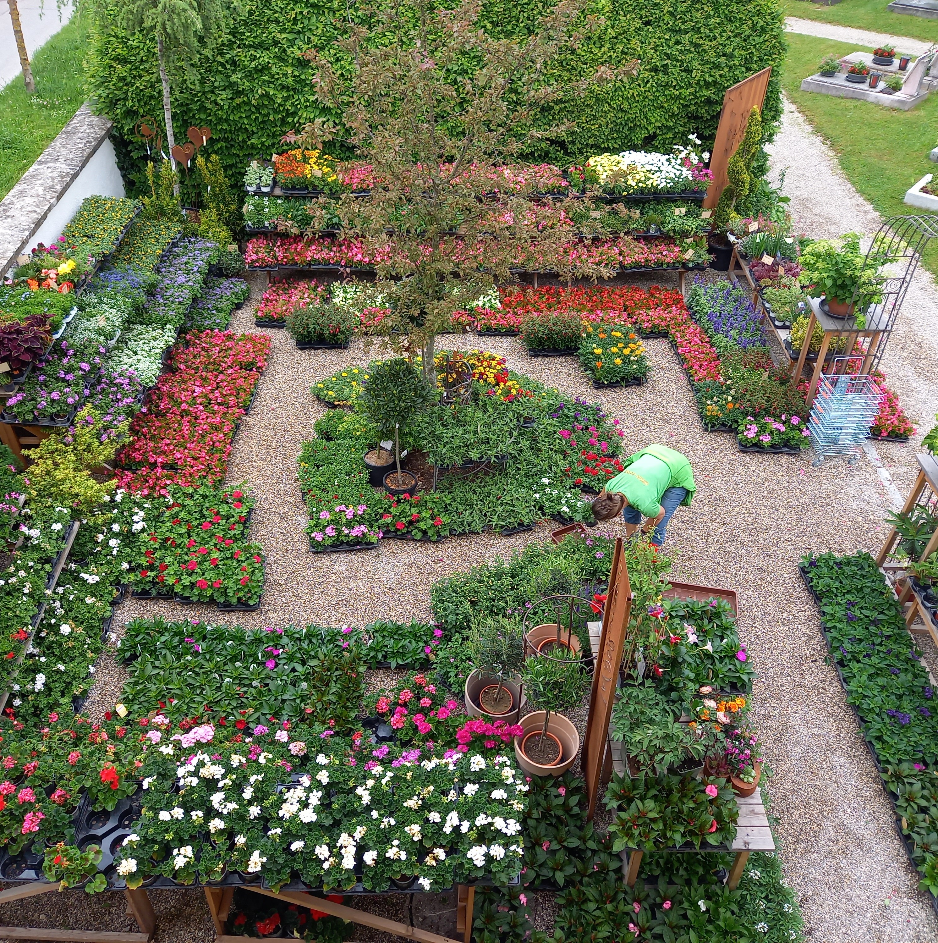 Bild 34 von Grün-Zone