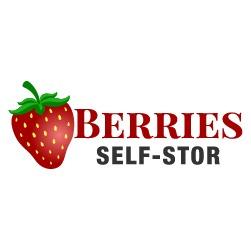 Berries Self-Stor Logo