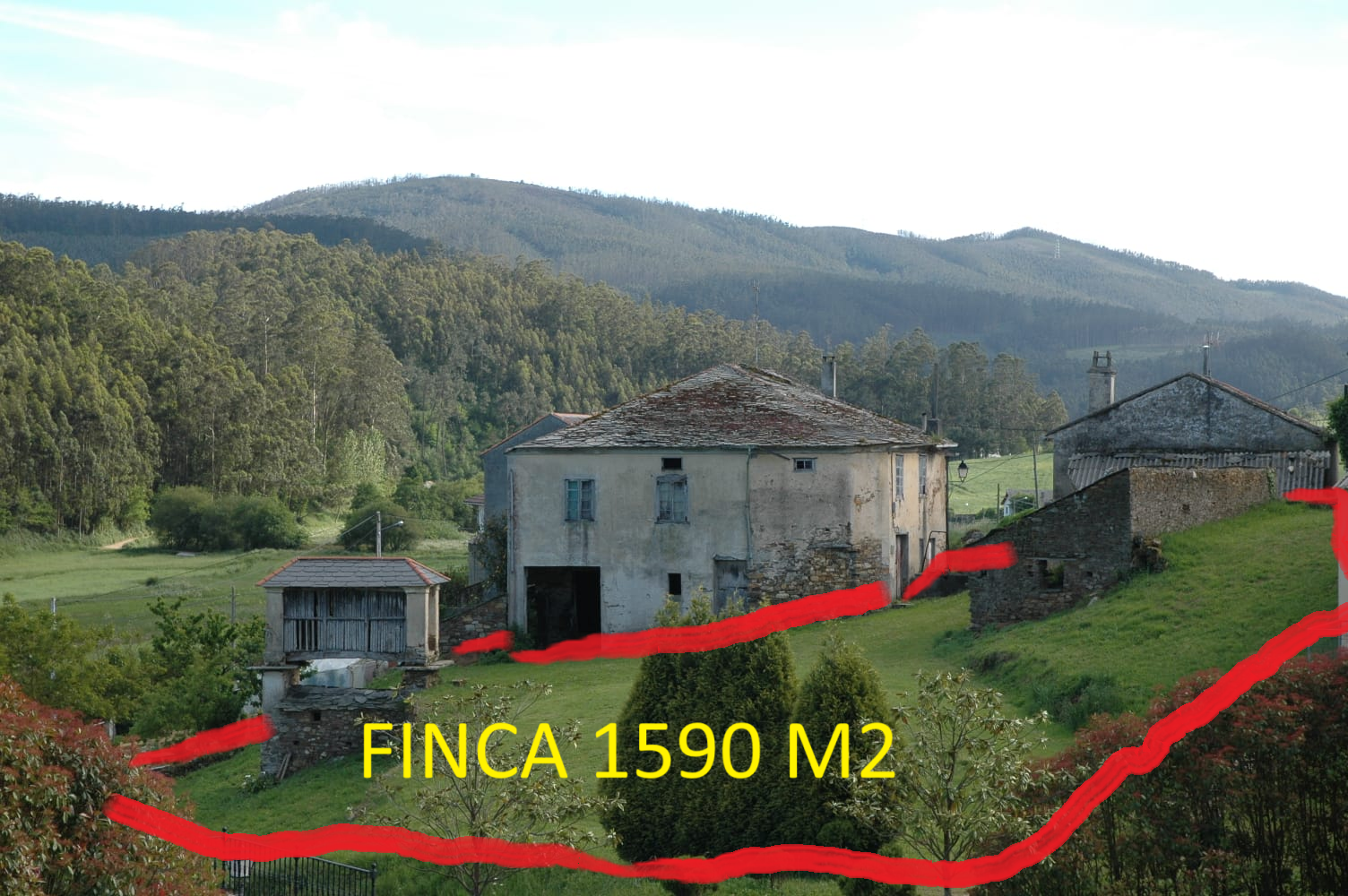 Images Efren Peréz Servicios Inmobiliarios