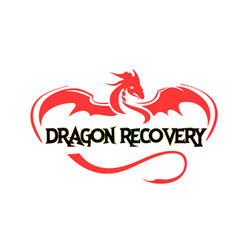 Dragon Recovery