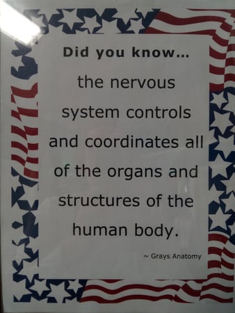 Images Crystal Chiropractic