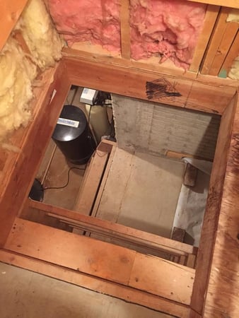 Images AAA Pest Control