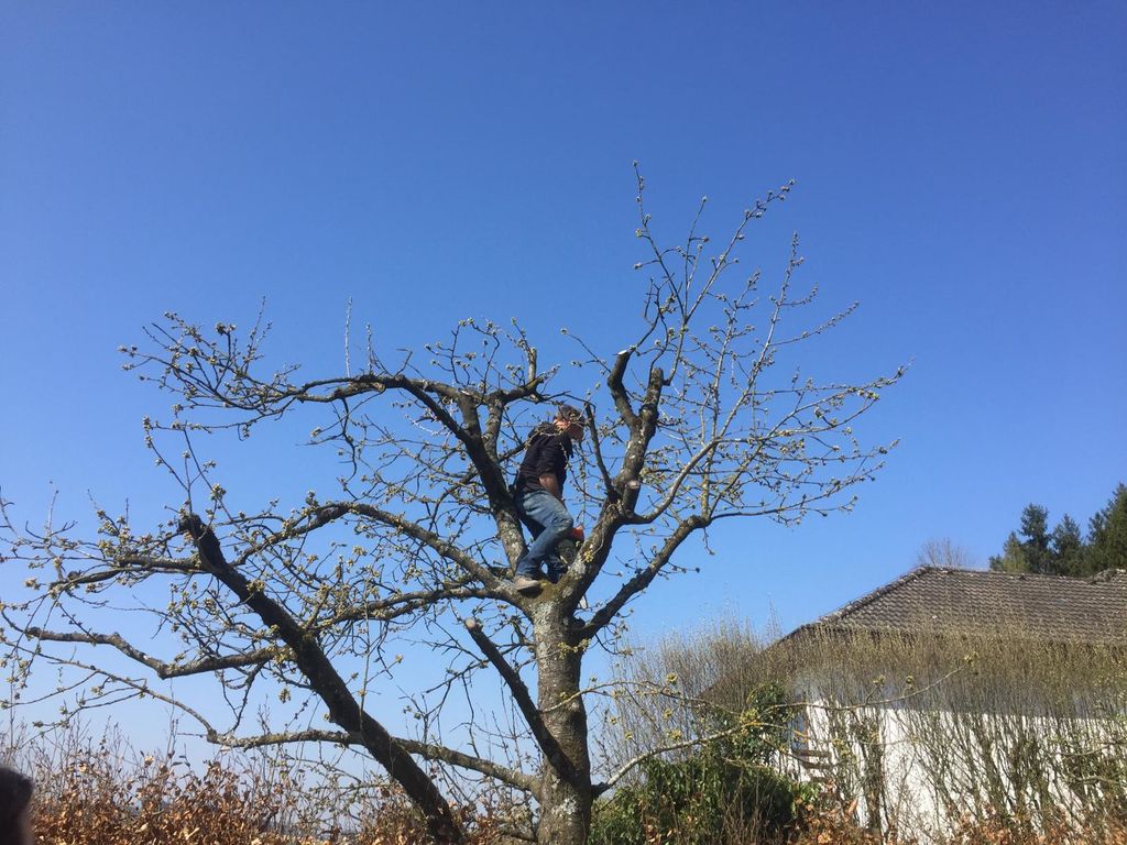 Bild 5 von GWK Garten Wohnraum Knapp