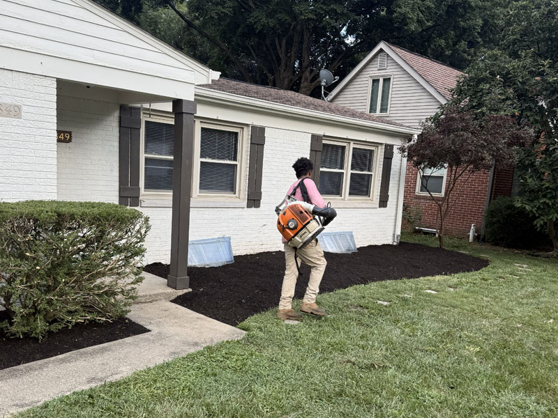 Rooted Lawn & Landscape Image