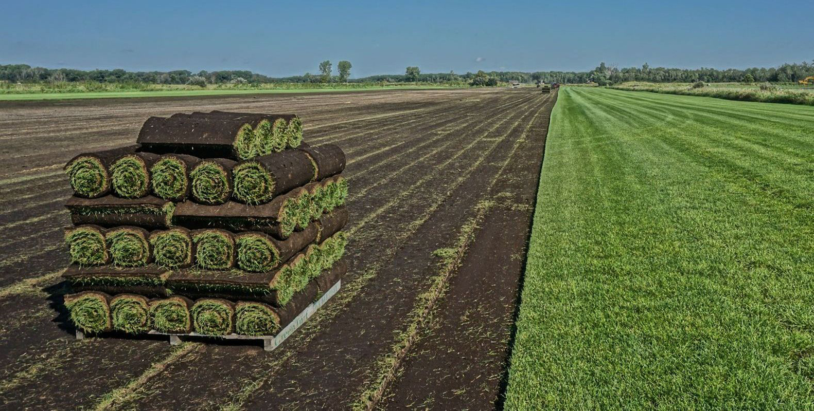 Why wait for seed to grow? Get an instant lawn with GreenTurf Sod Farms. We provide high-quality, drought-resistant sod for homeowners and contractors across Minnesota. Call us for a quote!