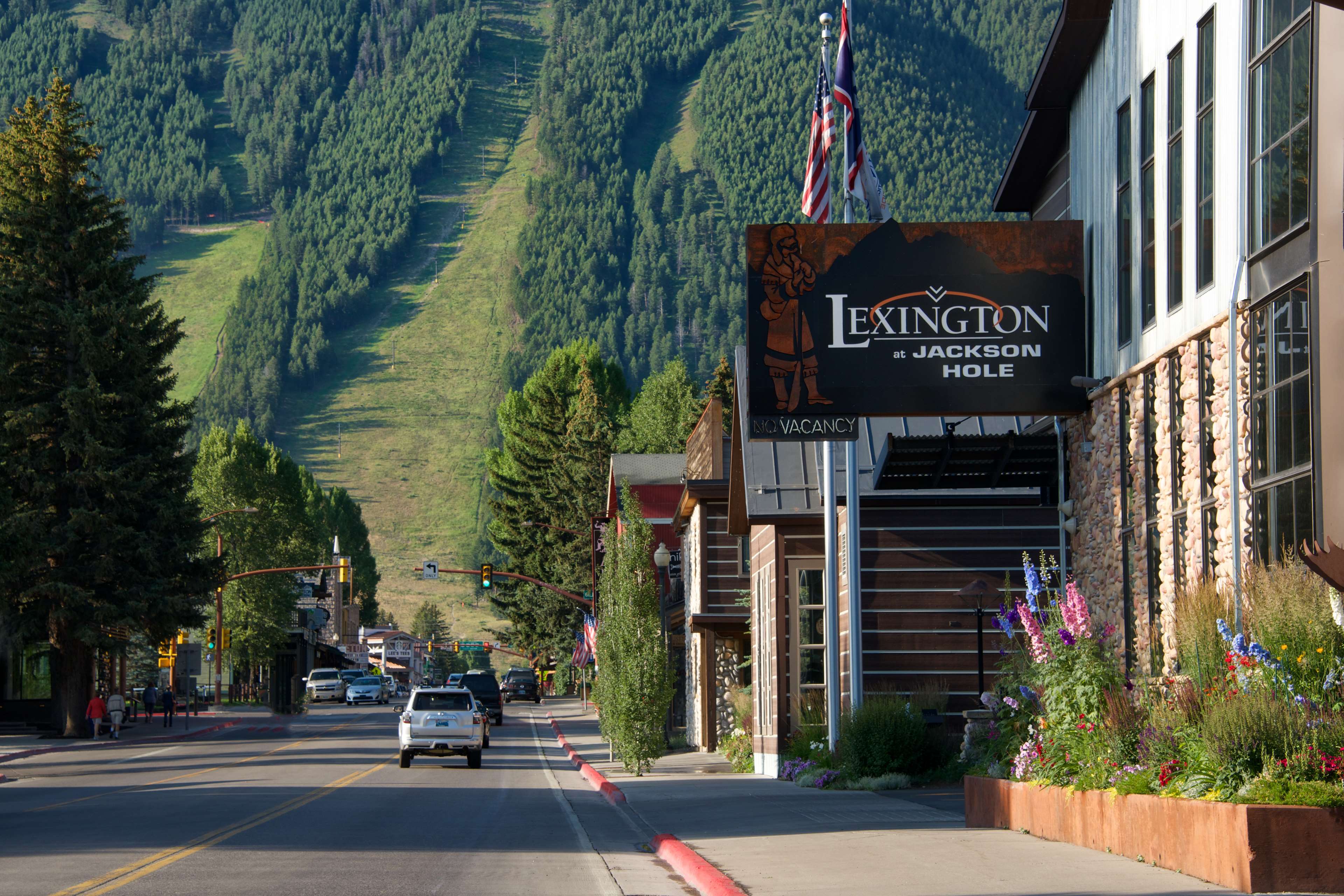 Lexington coupons