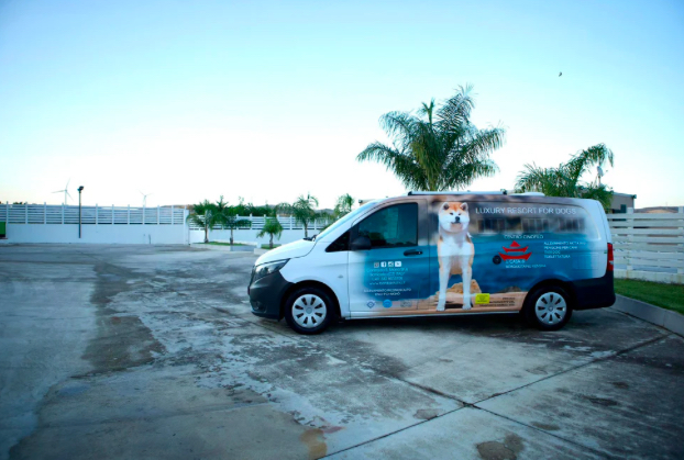 Images Your Dog Resort