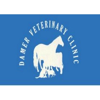 Damer Veterinary Clinic 1