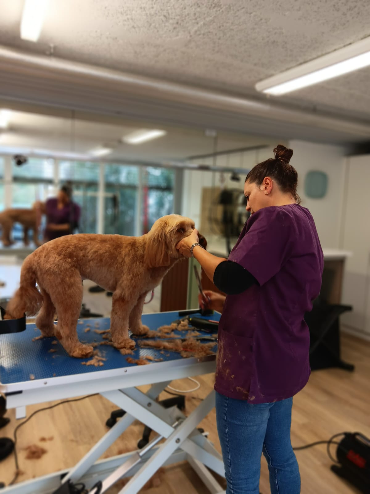 Bilder HUND UM by Sabrina Vogt