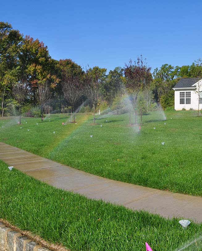 An active residential lawn sprinkler system watering a green yard next to a winding concrete walkway, creating a light rainbow in the mist.