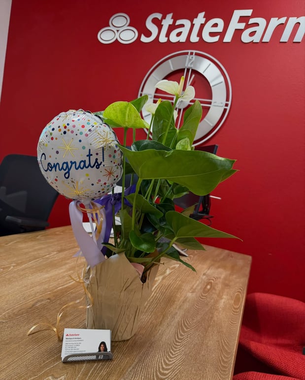 Images Monique Ambers - State Farm Insurance Agent