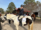 Images Star Ridge Stables