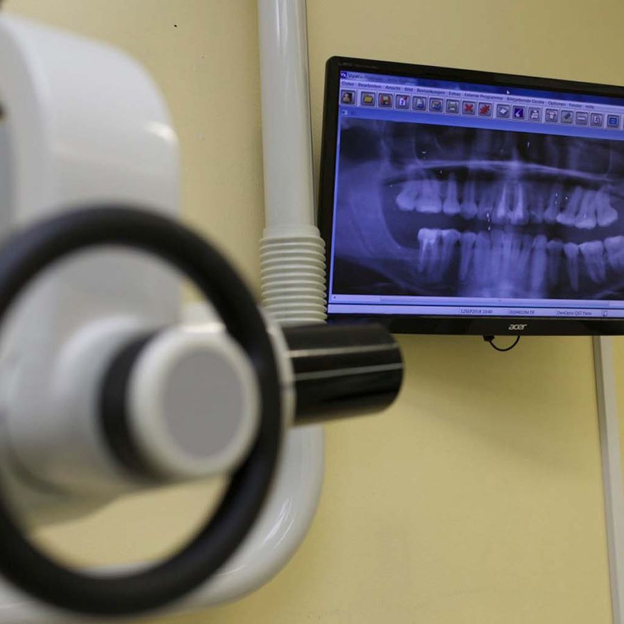 Bild 6 von DDr. Endre und Dr. Nora Steger