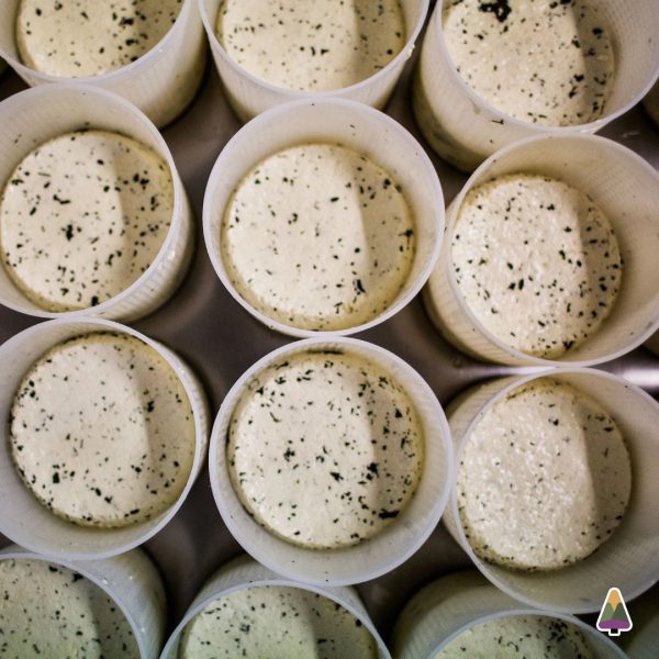 Frischkäse nach Feta-Art aus Kuhmilch (natur oder mariniert)