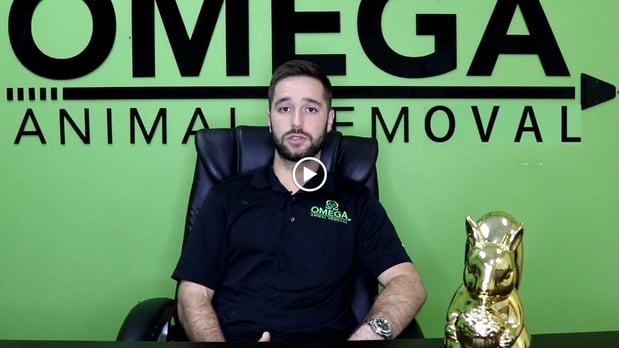 Images Omega Animal Removal Houston