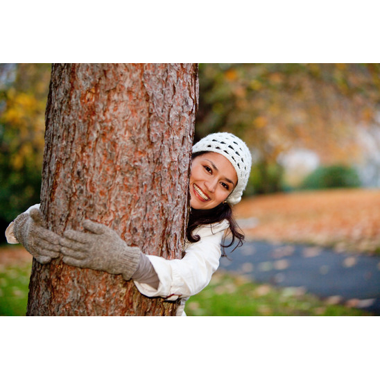 The Tree Service Company