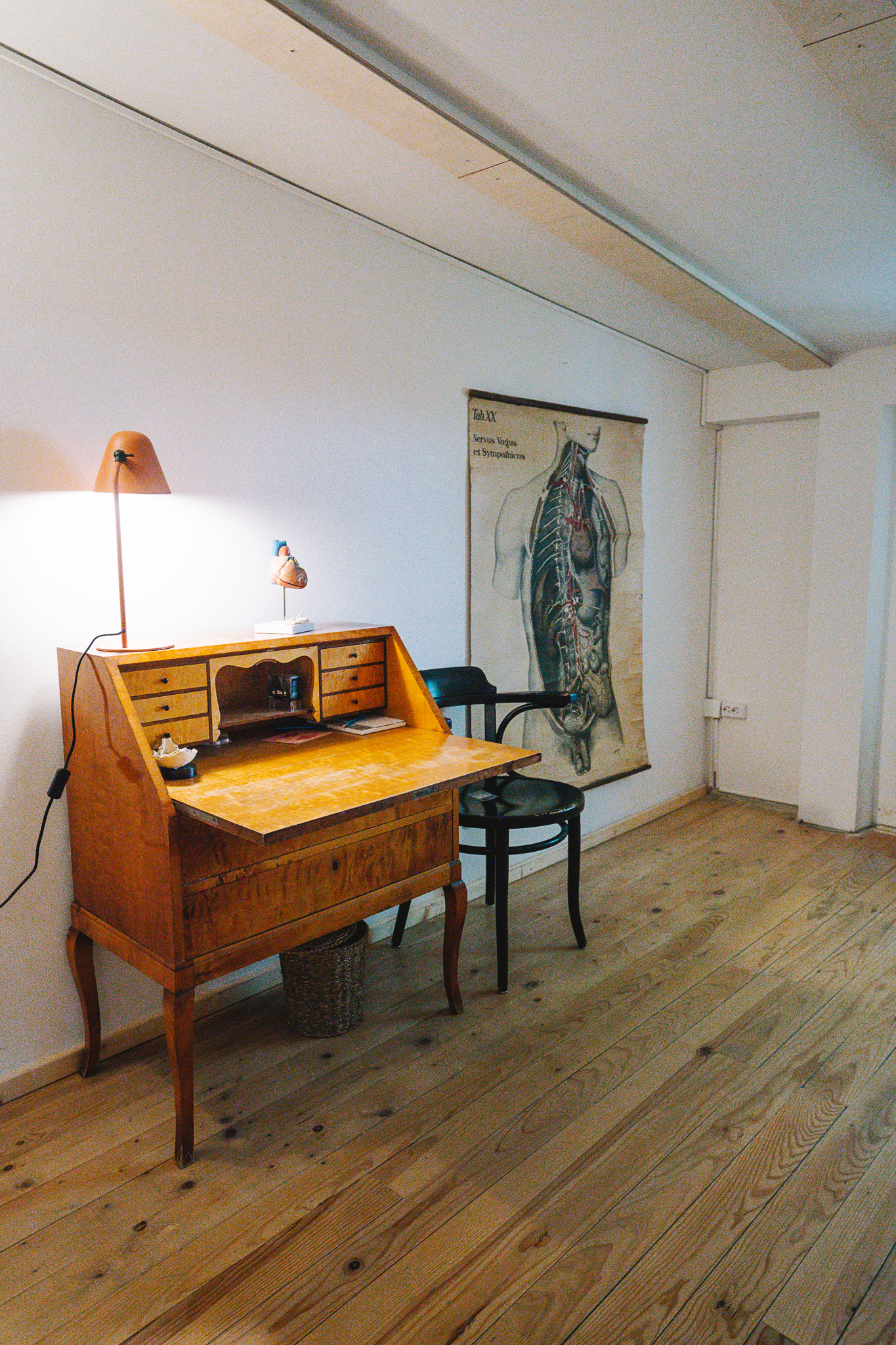 Bilder Osteopathie Johanna Barwich